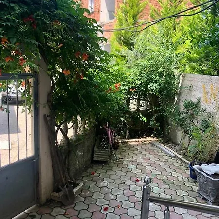 Mjolly Tirana