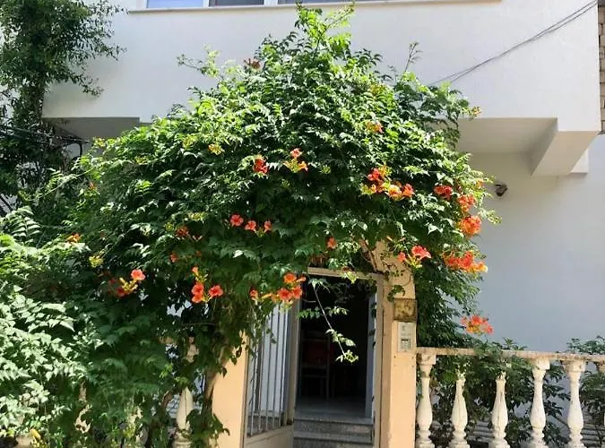 Mjolly Apartman Tirana