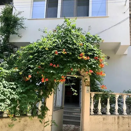 Mjolly Apartment Tirana